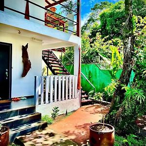 Budda Home